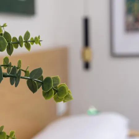 Appartamento Osito Hub - Duque De Gaeta *