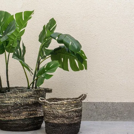 Osito Hub - Duque De Gaeta Appartamento Valenza